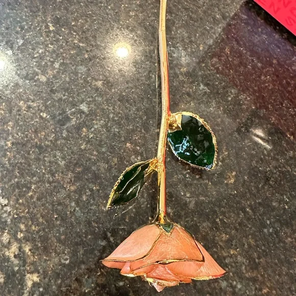 24kt gold dipped rose “Blush”